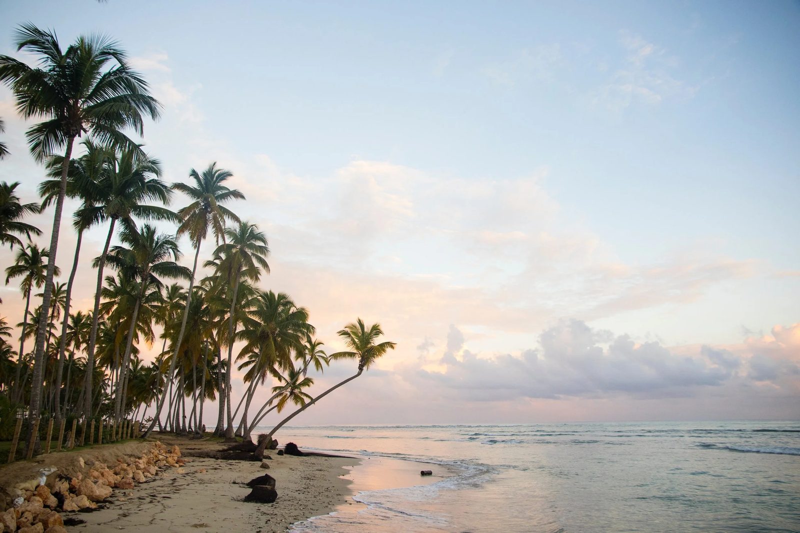 RNC tax ID for a company in the Dominican Republic